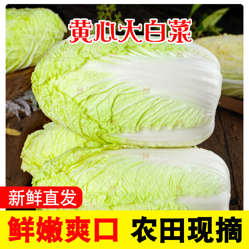 木底上的大白菜