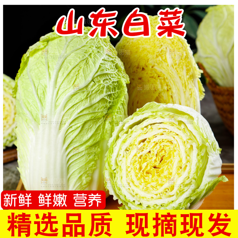 石板上放着一盘切开的山东大白菜