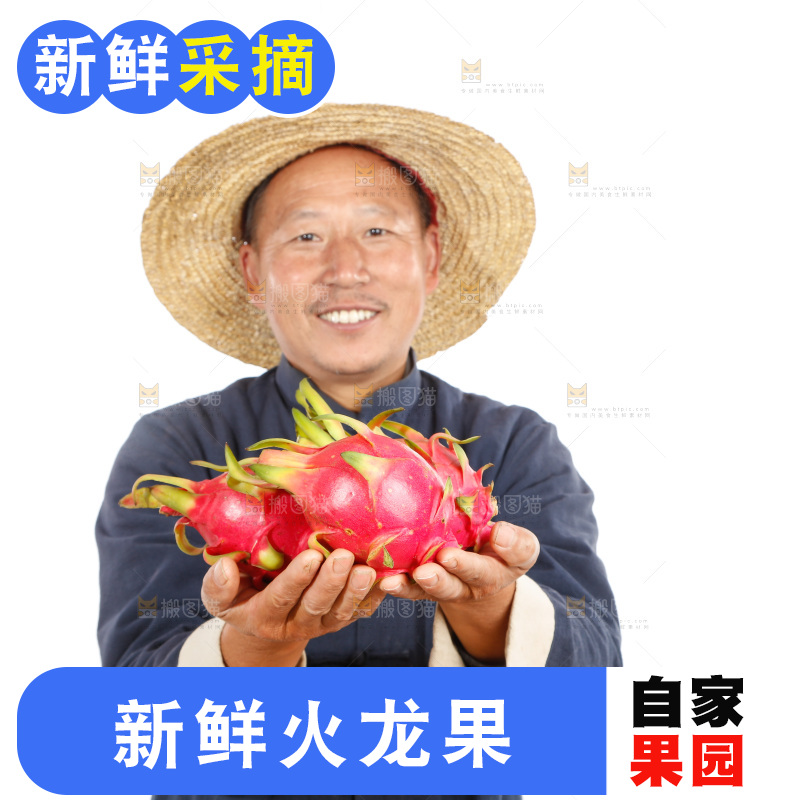 农民手里端着火龙果