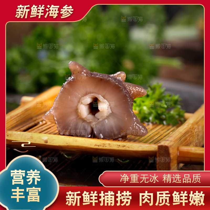 黑底上切开的海刺参