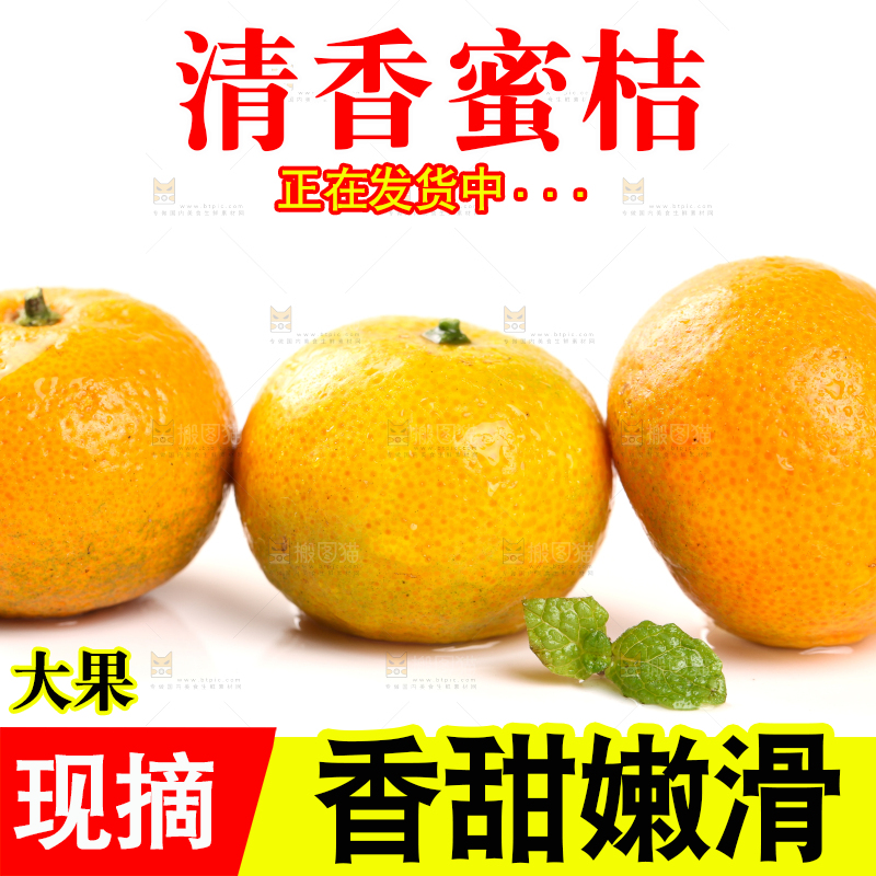 白底上的桂林清香蜜桔