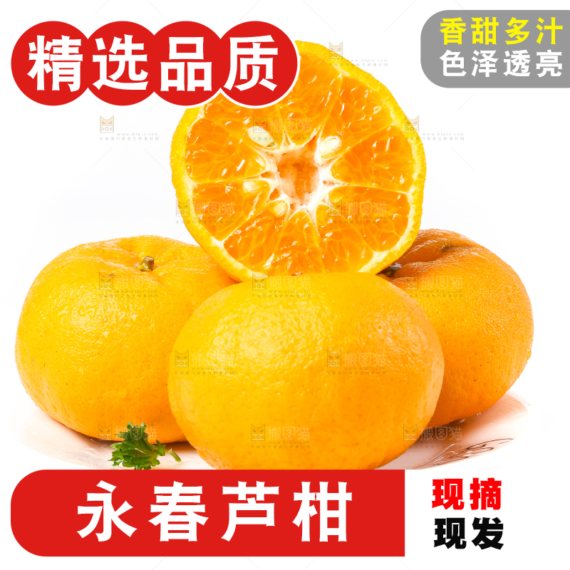 白底上放着芦柑