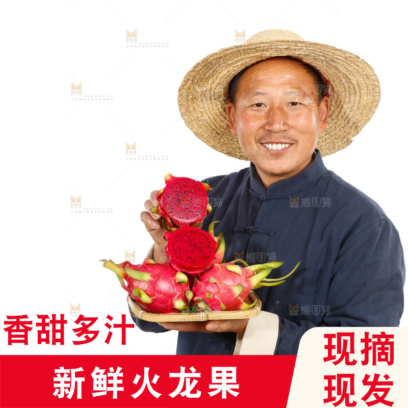 农民手里拿着红心火龙果