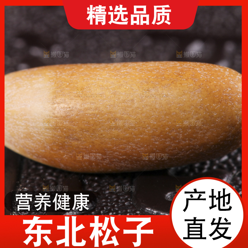 黑底上的巴西松子