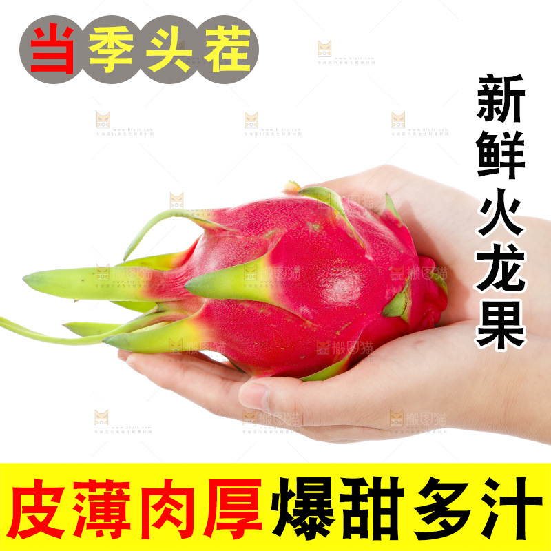 手里拿着火龙果