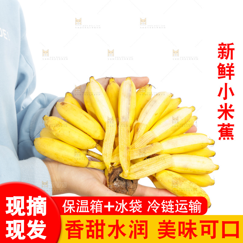 手里拿着一串小米蕉