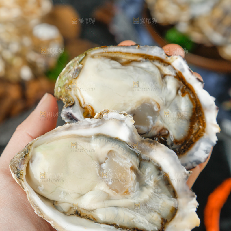手拿生蚝