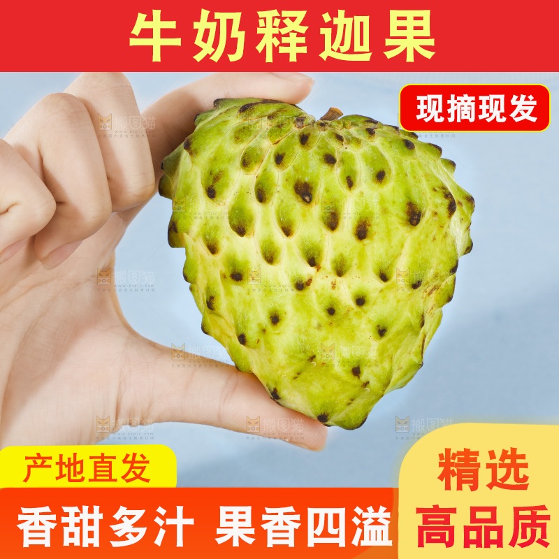 手里拿着释迦果