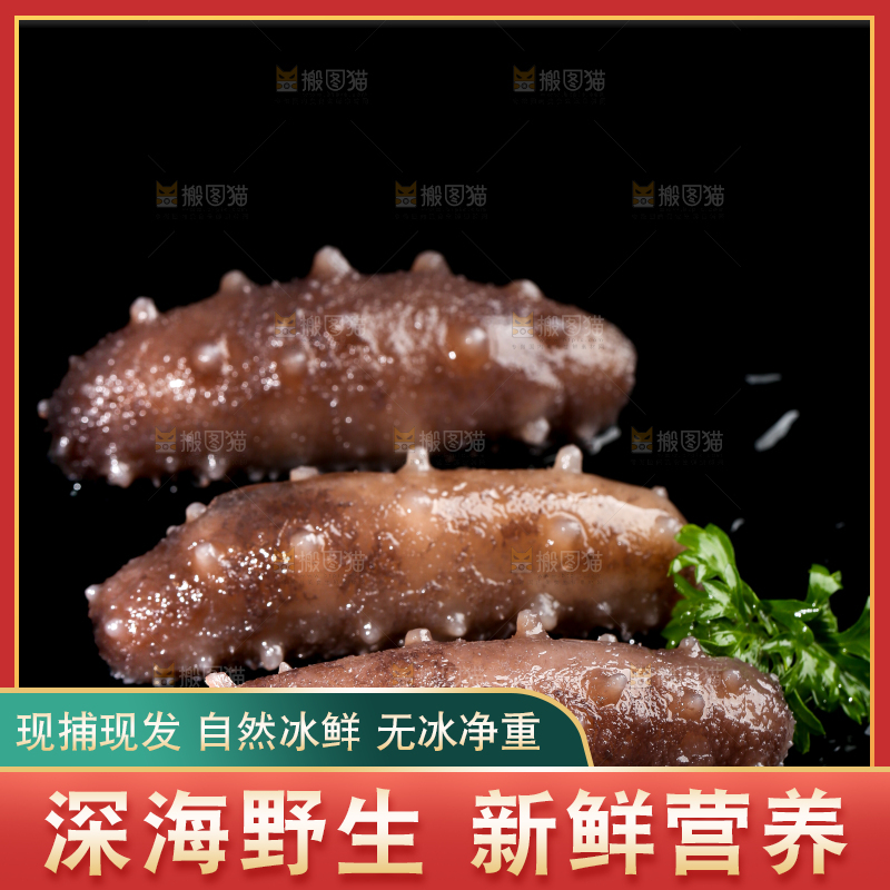 黑底上的海参