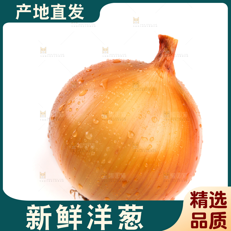 白底上放着黄皮洋葱