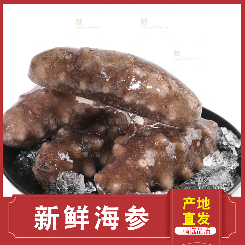 白底上放着一盘冰镇海参
