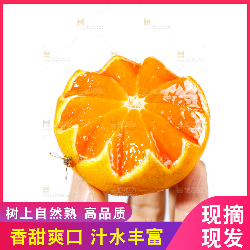 手里拿着蜜橘
