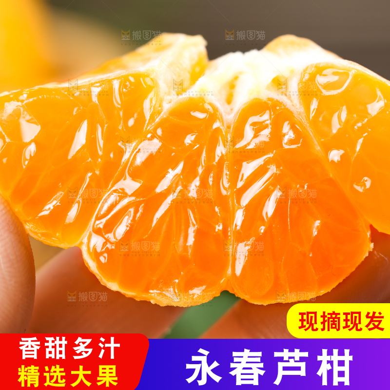 手里拿着新鲜芦柑