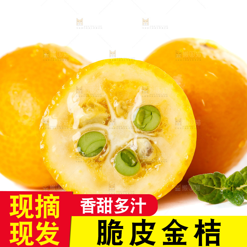 白底上放着小金桔