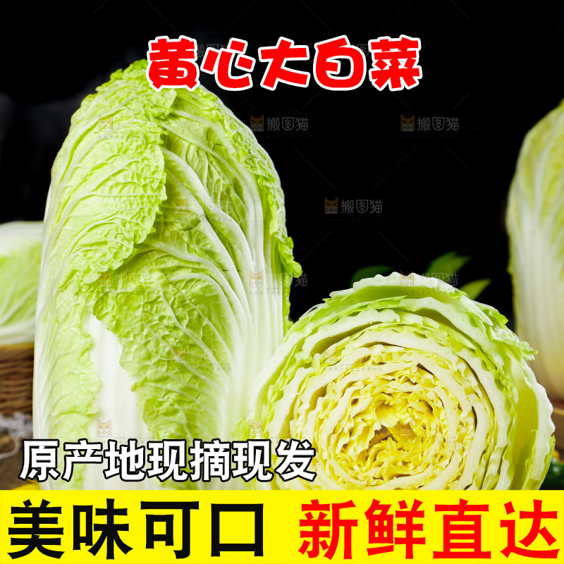 木底上放着切开的山东大白菜