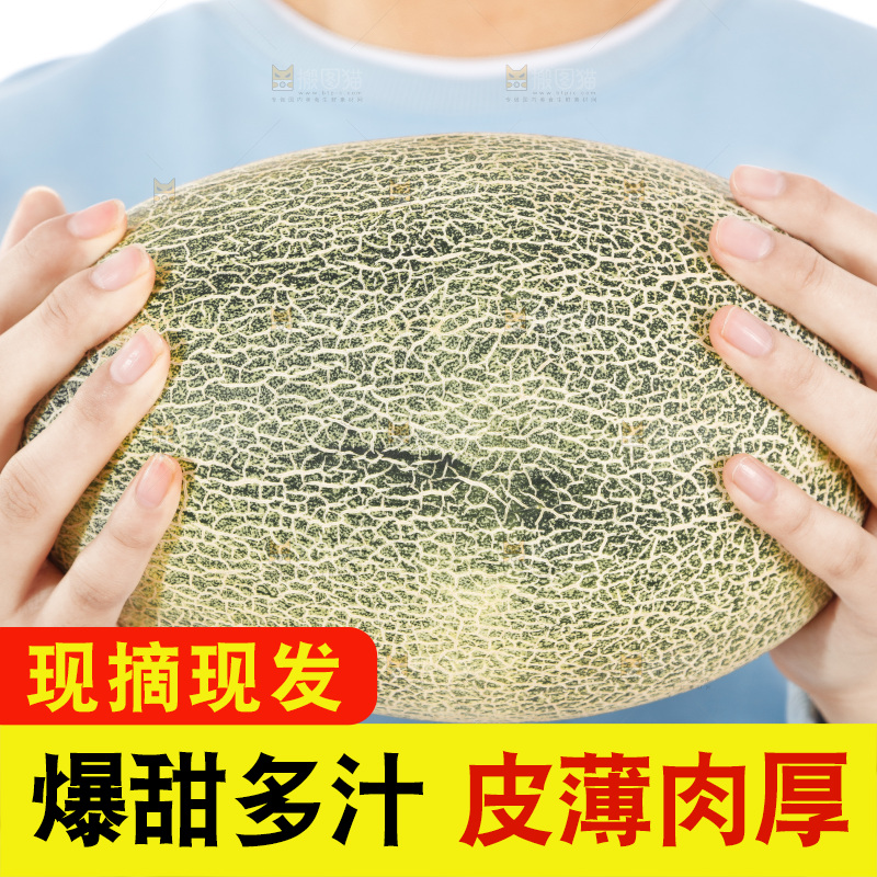 手里抱着哈蜜瓜