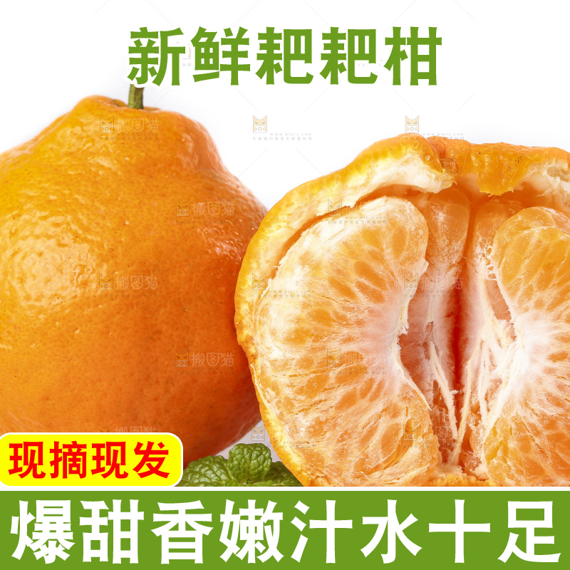 白底上放着春见桔橙