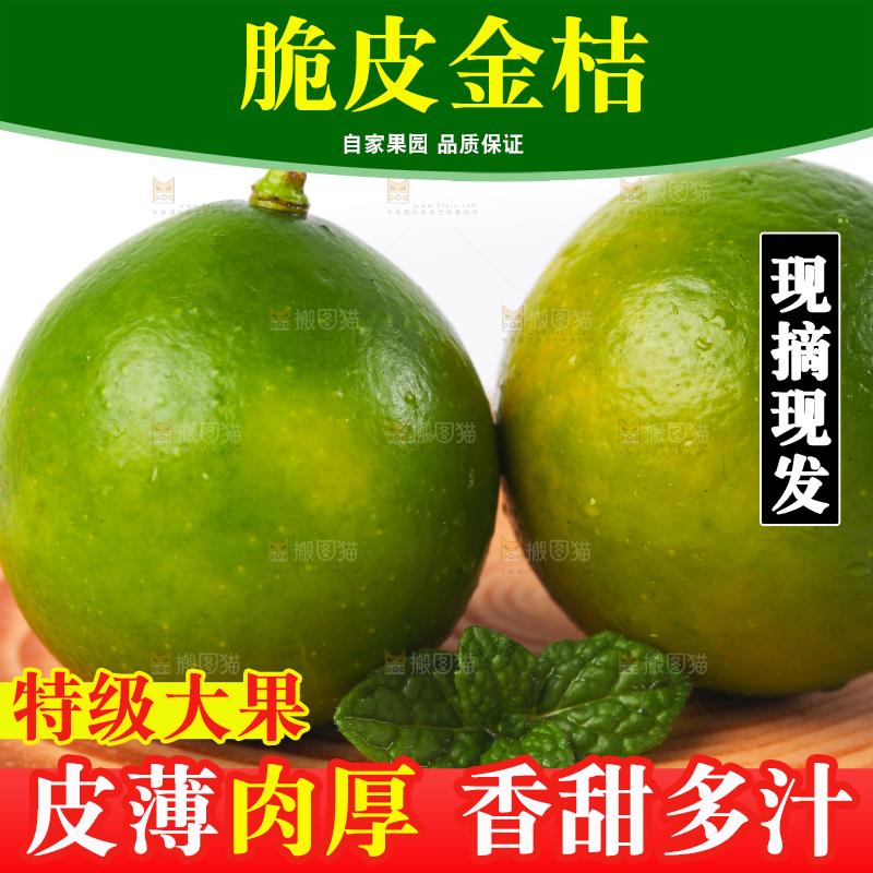 木底上摆放着金橘