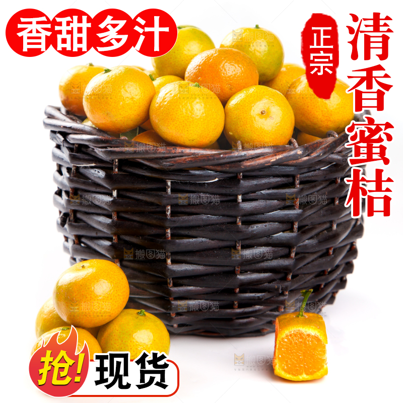 一筐清香蜜橘放在白底上