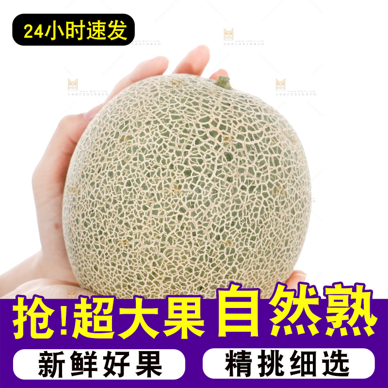 手里捧着哈蜜瓜