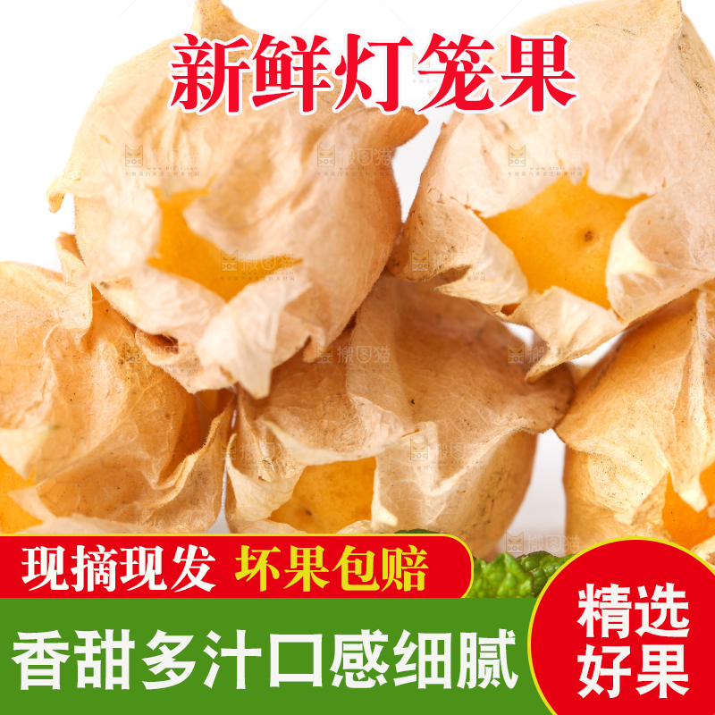白底上放着灯笼果