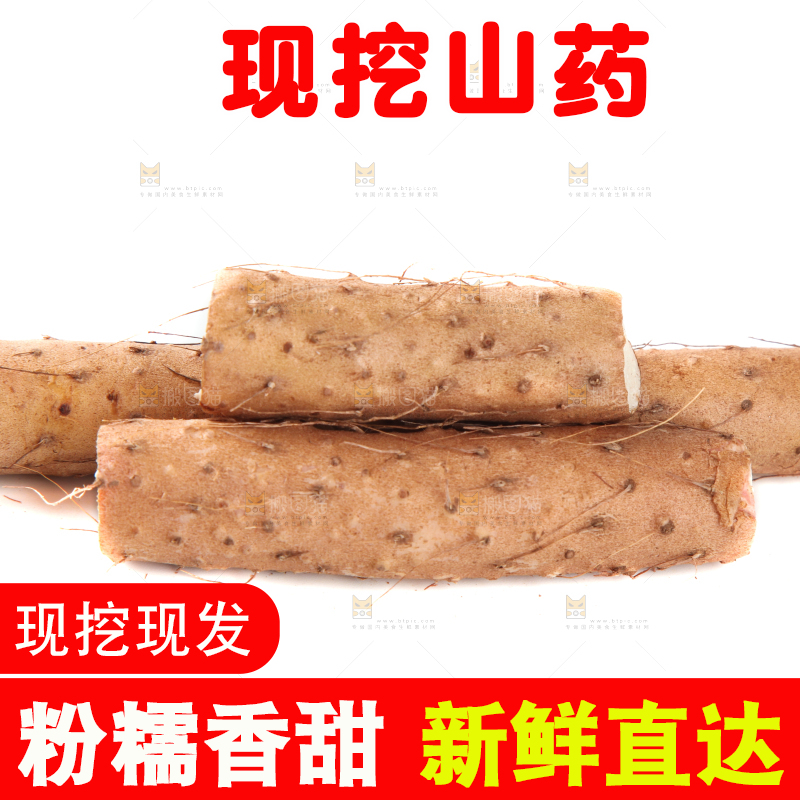 白底上摆放着山药