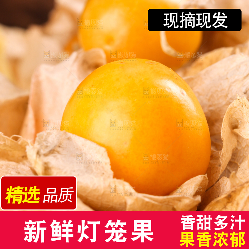 竹篮里放着菇娘果