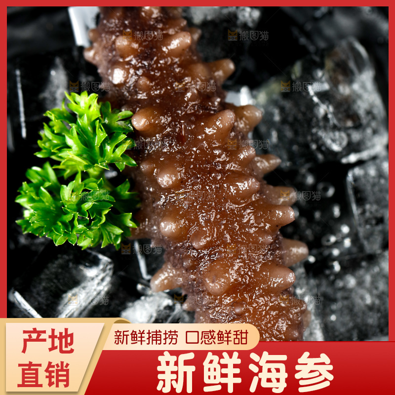 盘子里的冰镇海参