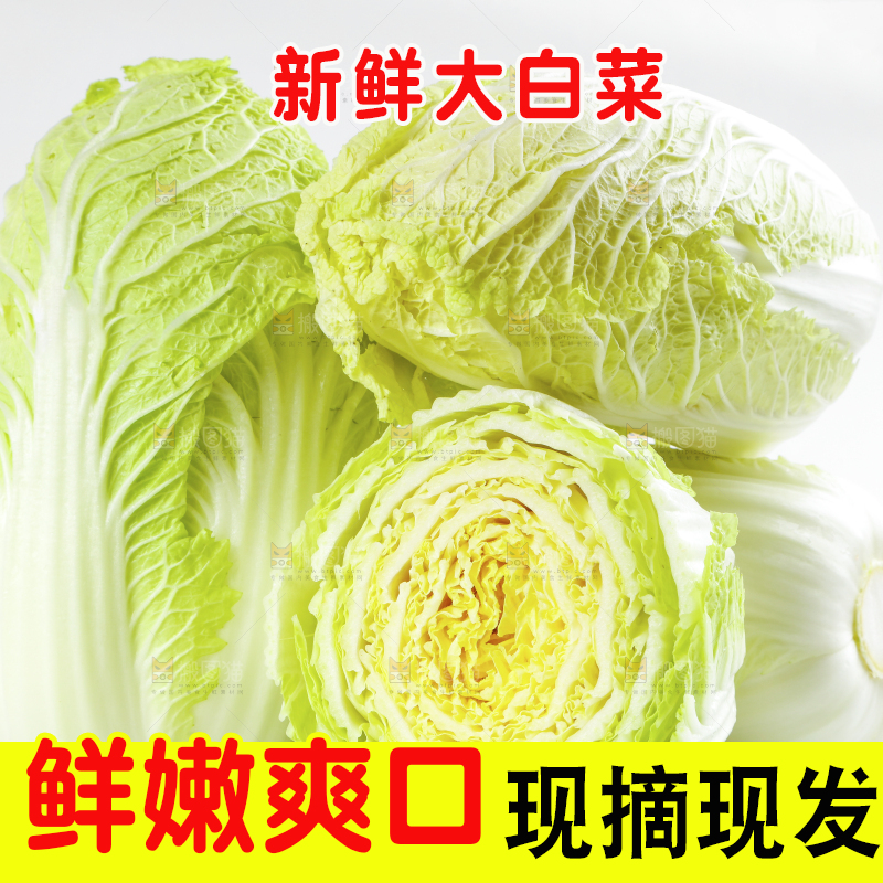 切开的黄心大白菜放在白底上