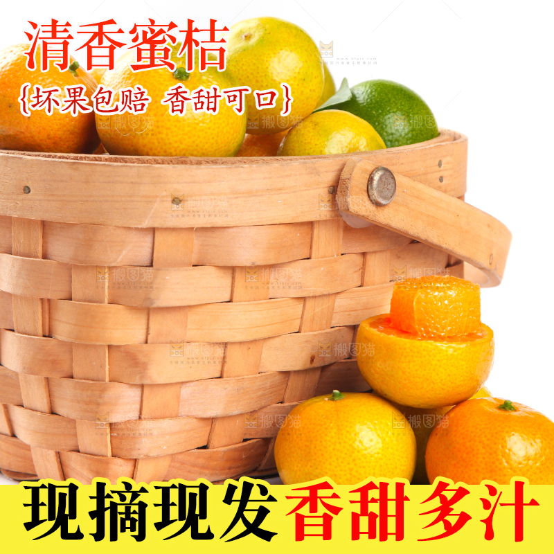 一筐清香蜜橘放在白底上