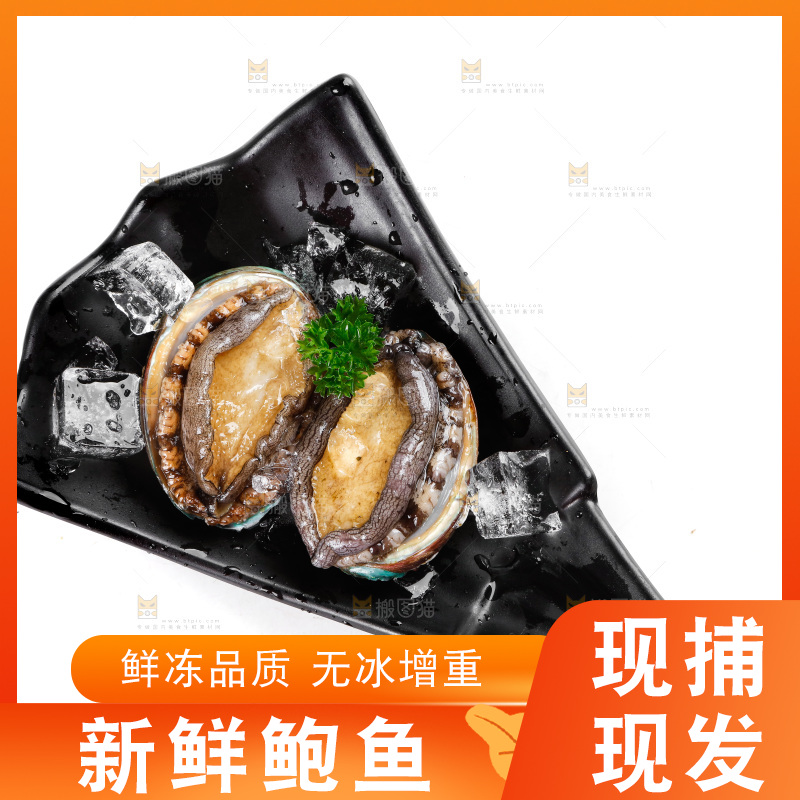 一盘鲍鱼放在白底上