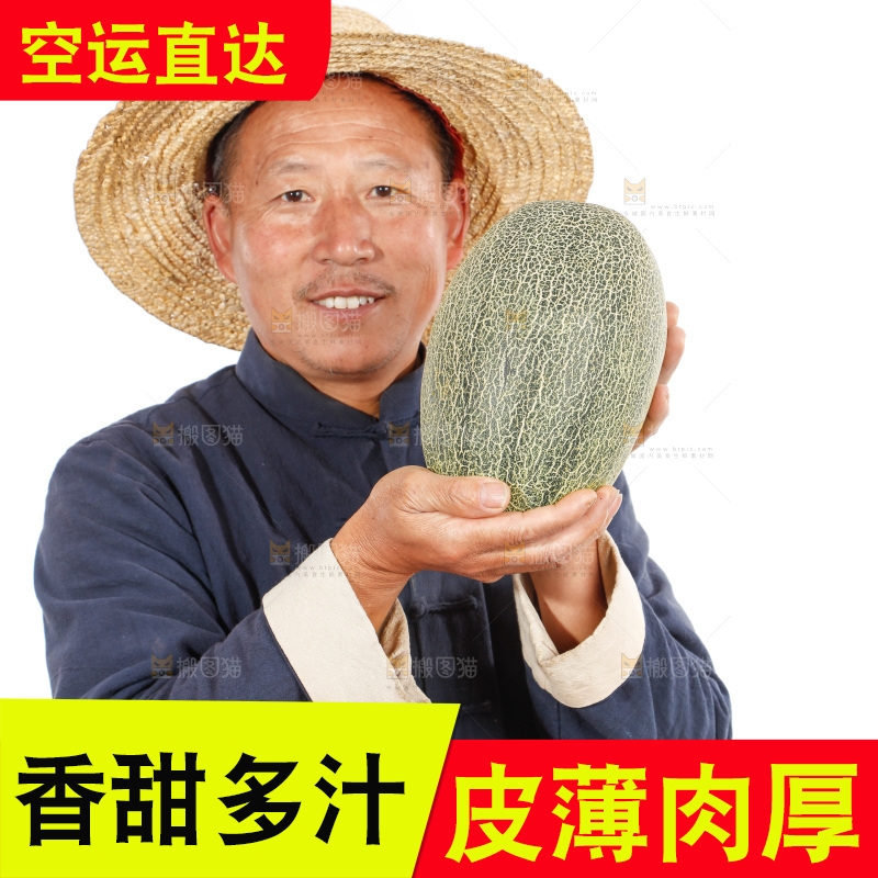 农民手里拿着哈蜜瓜