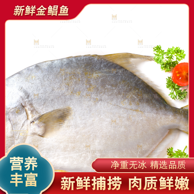 白底上放着野生金鲳鱼