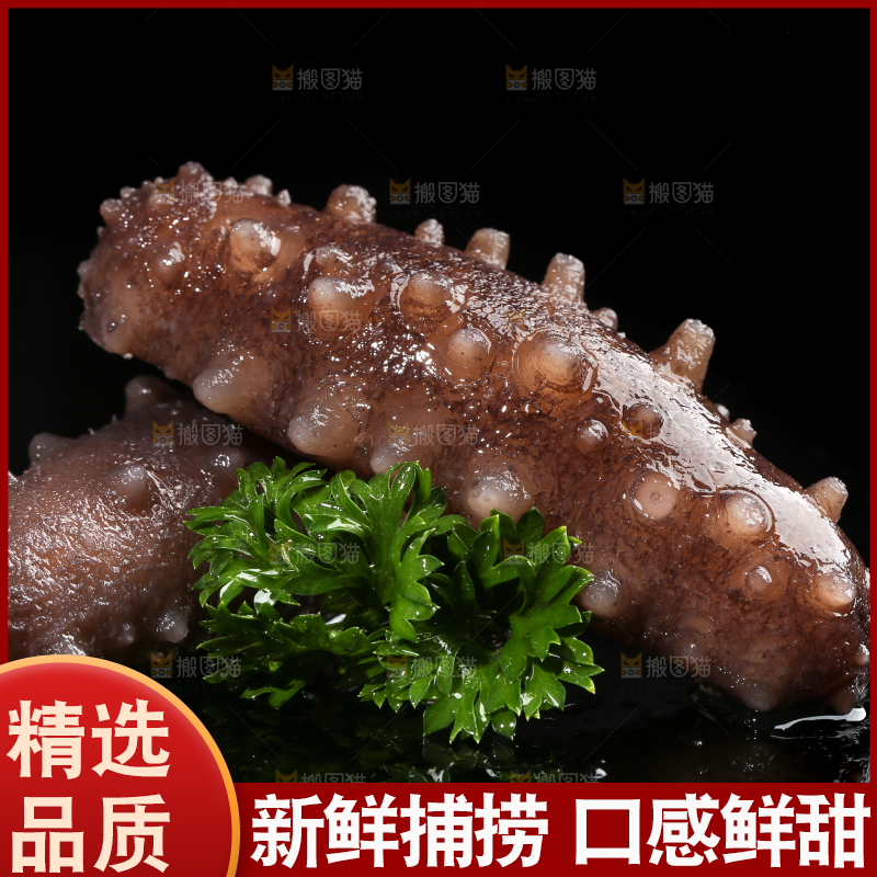 黑底上的海参