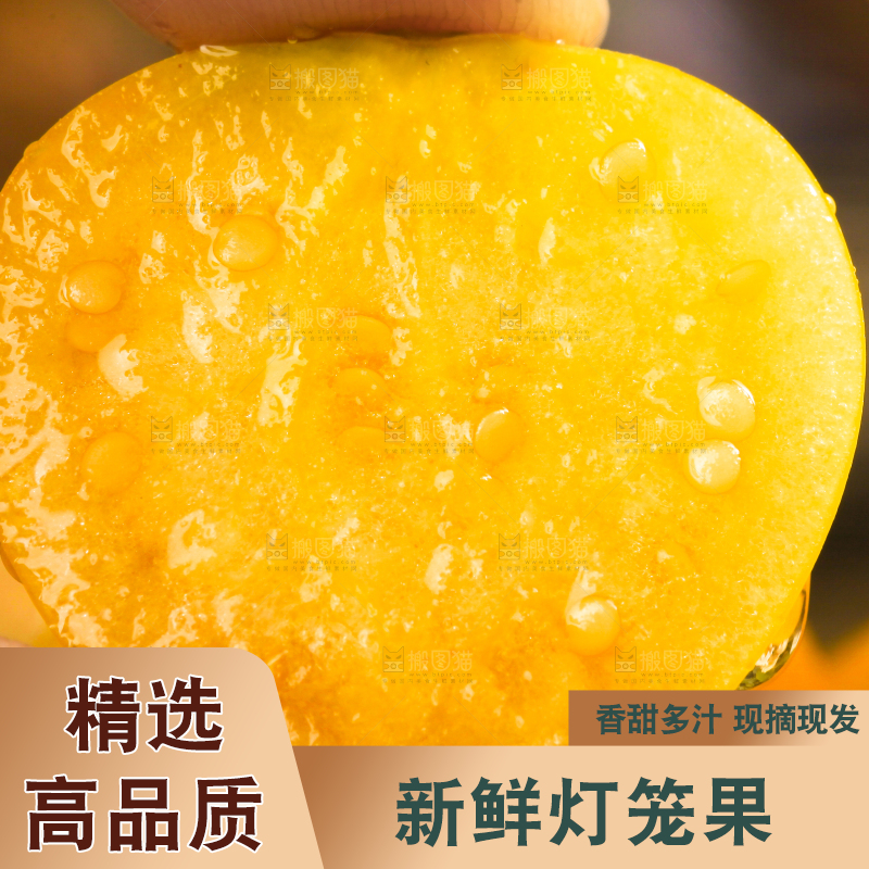手里拿着菇娘果