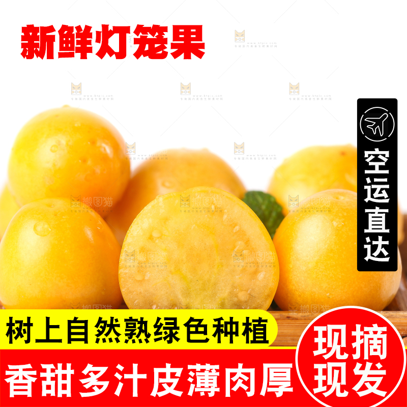 白底上摆放着灯笼果