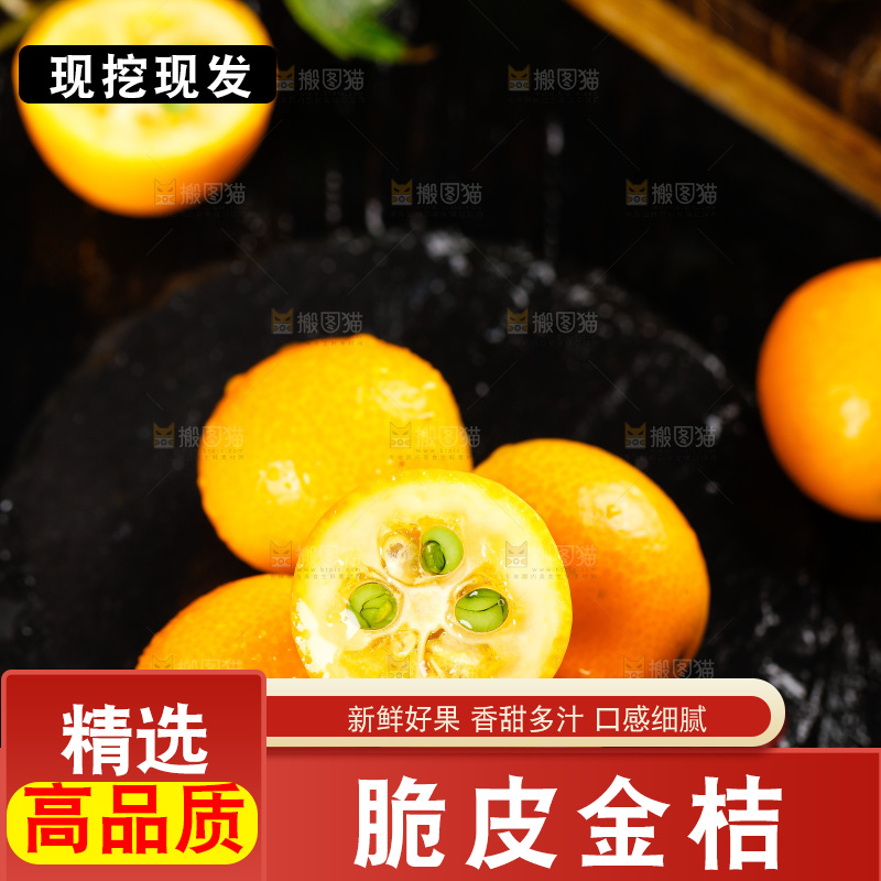 黑底上放着小金桔