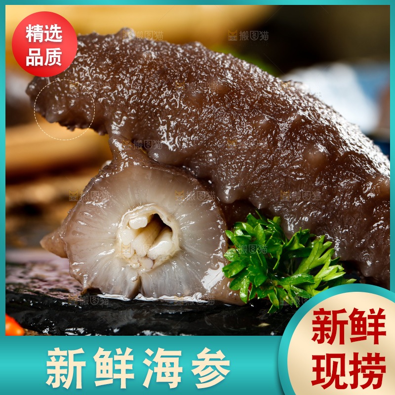 黑石板上的刺参