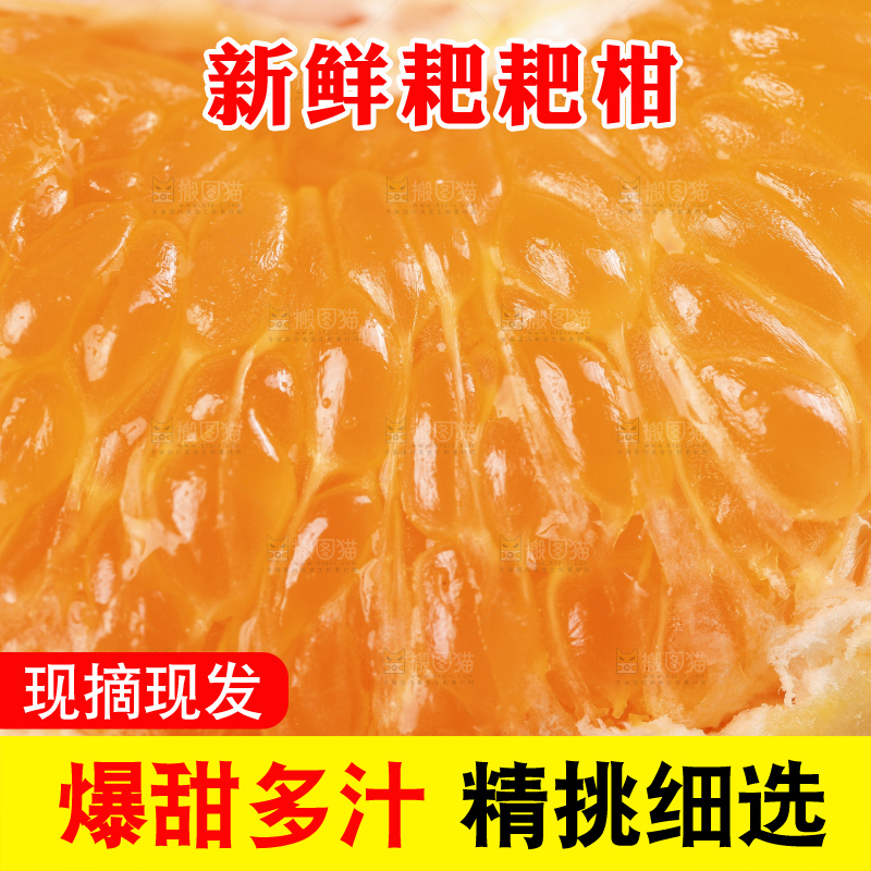 草地上摆放着耙耙柑