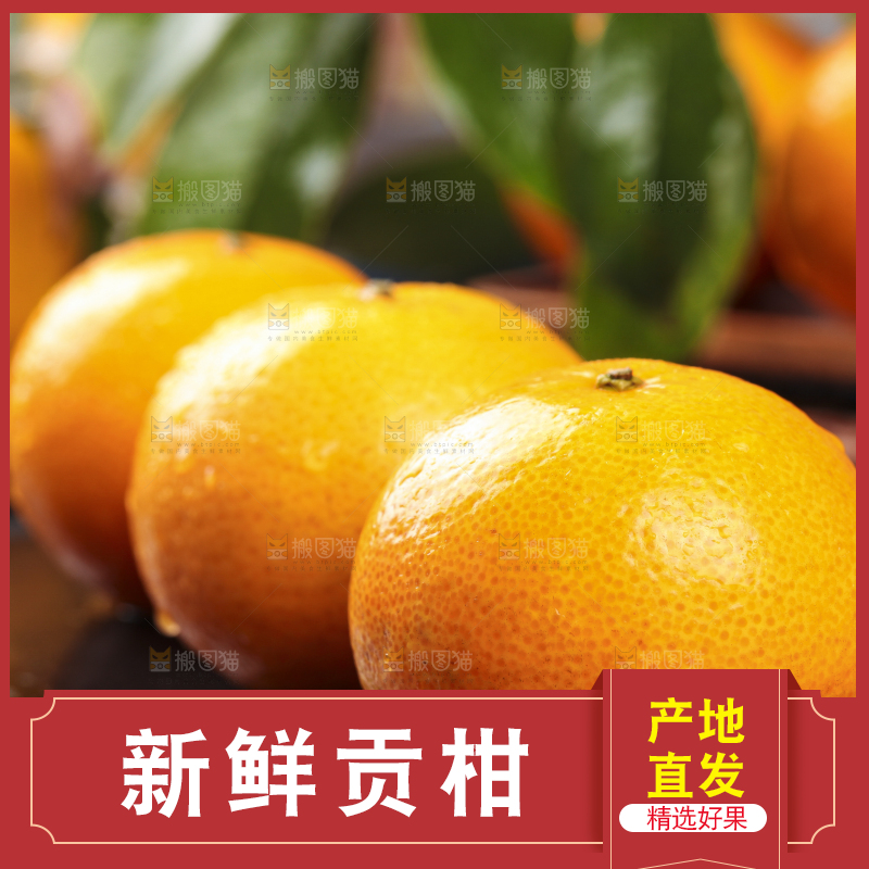 黑底上的皇帝柑