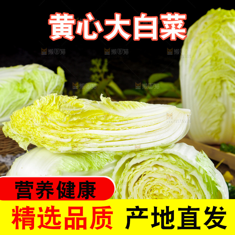 木底上放着切开的山东大白菜