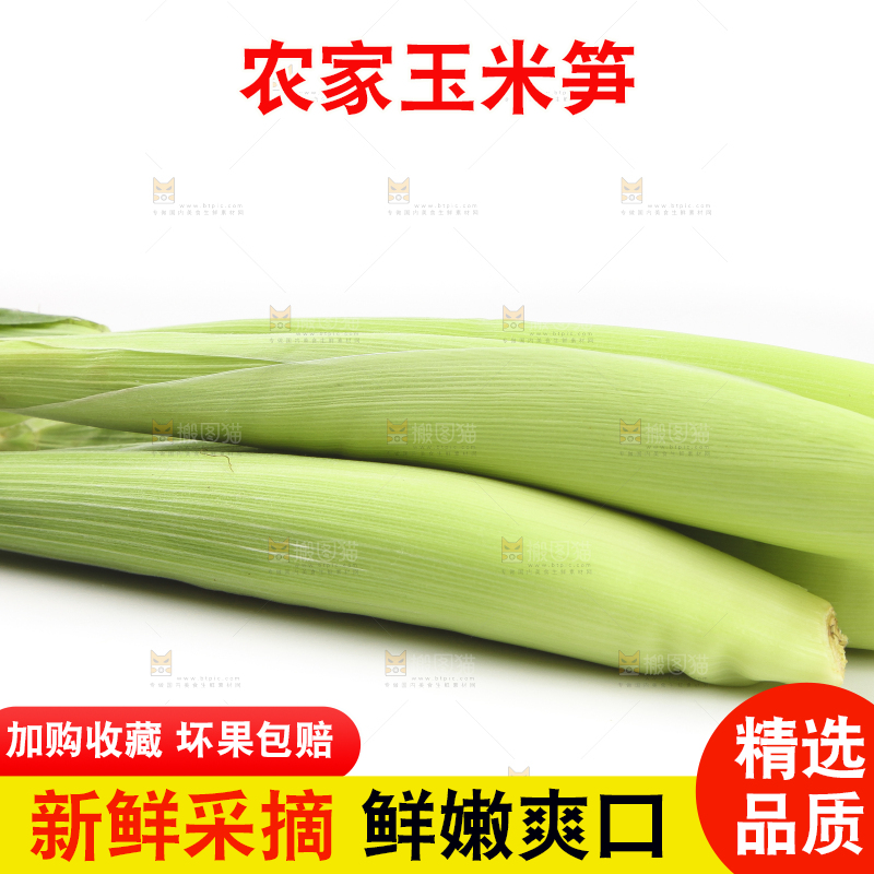 白底上的珍珠笋