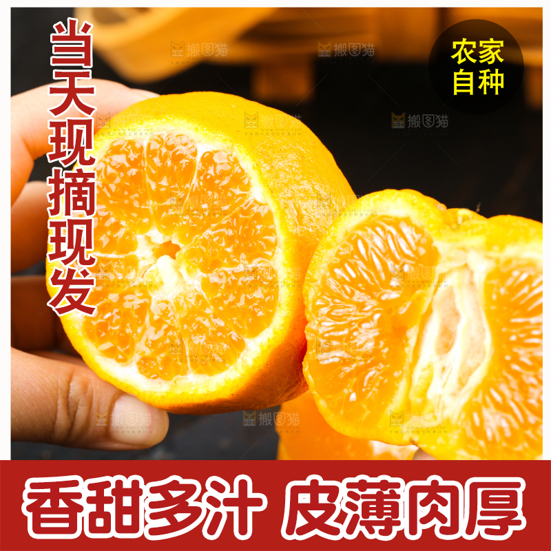 手里拿着新鲜芦柑