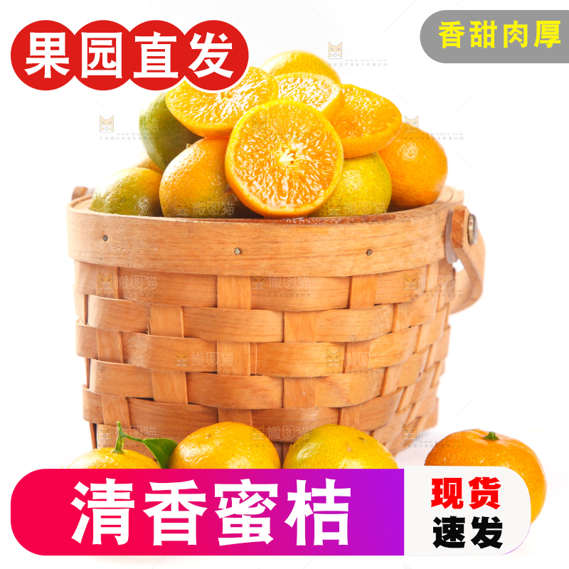 一筐清香蜜橘放在白底上