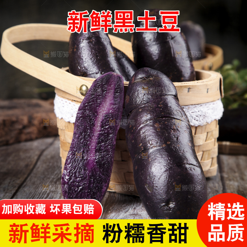 篮子里装着黑心紫皮土豆