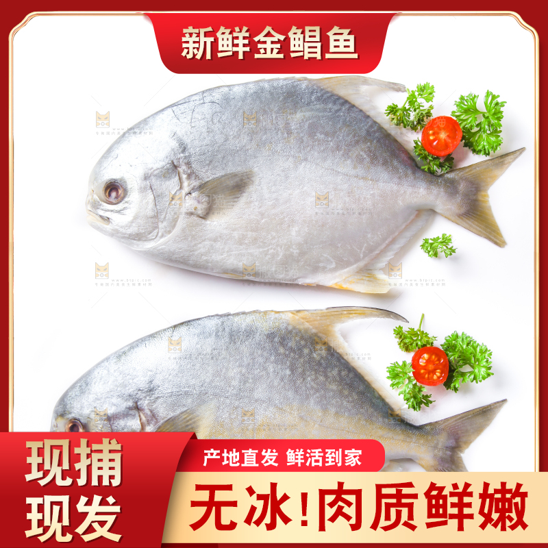白底上放着野生金鲳鱼