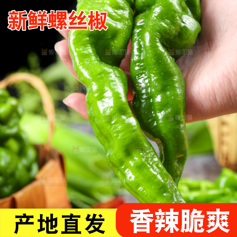 手拿青辣椒
