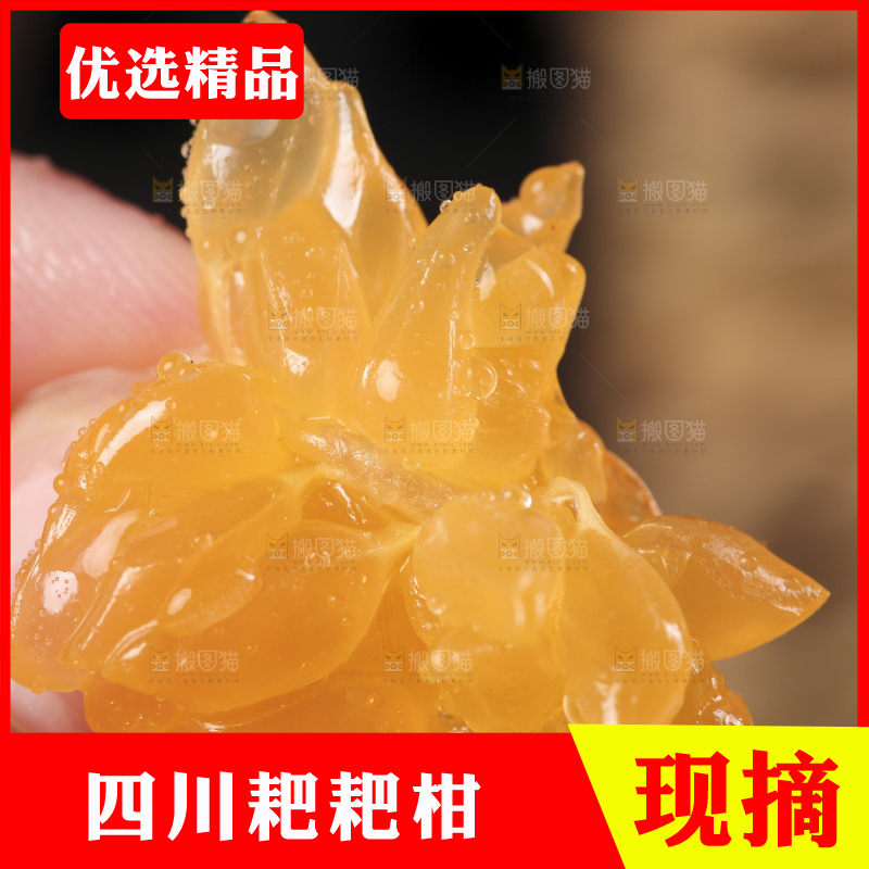 手上拿着春见果肉