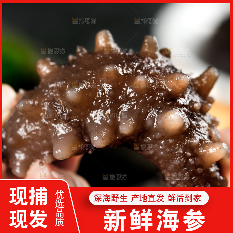 手拿海参