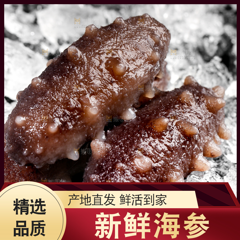 黑底上的冰镇海参